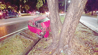 Chemical engineer killed in crash into tree